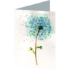 Dandelion #2