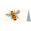 Manchester Bee #1