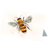 Manchester Bee #1 Hand Painted Original Watercolour on 6"x8" Cotton Paper