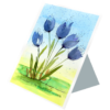Tulips #1