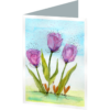 Tulips #2