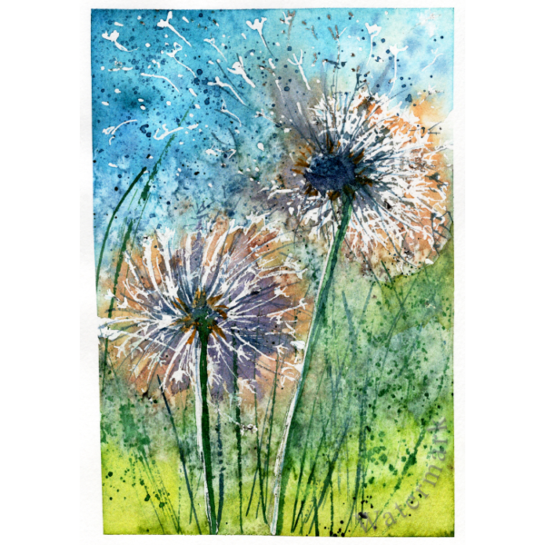 Dandelion #4 Hand Painted Original Watercolour on 6"x8" Cotton Paper