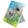 Dandelion #4