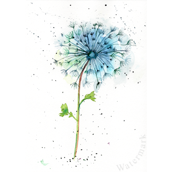 Dandelion #6 Hand Painted Original Watercolour on 6"x8" Cotton Paper