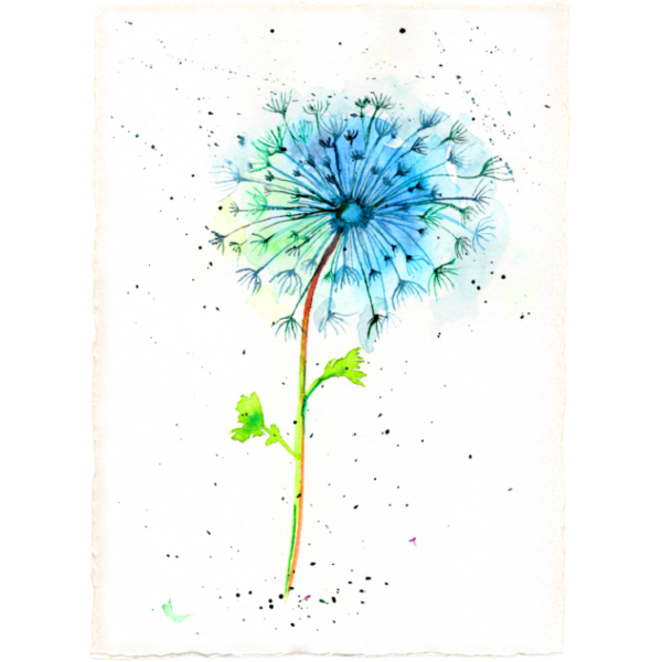 Dandelion #6 High Quality Print on 6"x8" Deckled Edge Watercolour Paper