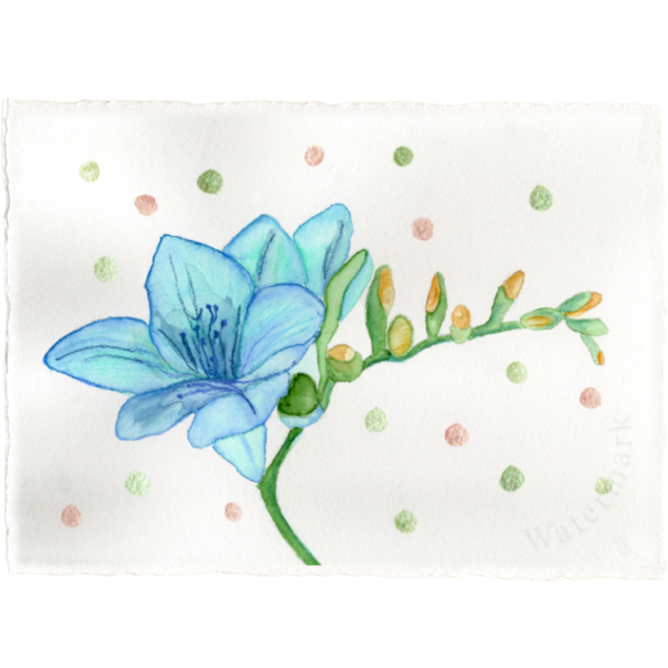Flowers & Dots #5 High Quality Print on 6"x8" Deckled Edge Watercolour Paper