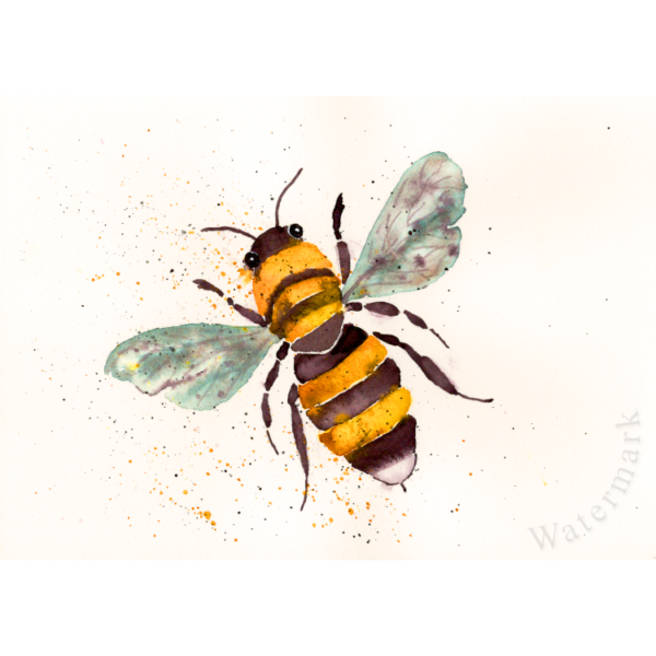 Manchester Bee #1 High Quality Print on 6"x8" Matt Coated Digital Paper