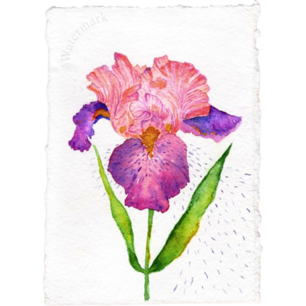 Paper Bloom#10 Hand Painted Original Watercolour on 6"x8" Cotton Paper