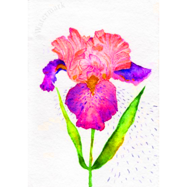 Paper Bloom#10 High Quality Print on 6"x8" Matt Coated Digital Paper