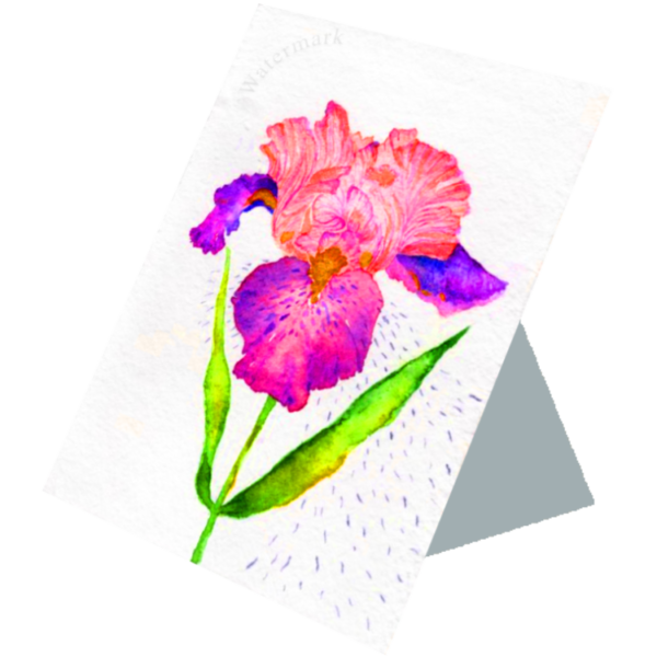 Paper Bloom#10 High Quality Print on 6"x8" Matt Coated Digital Paper