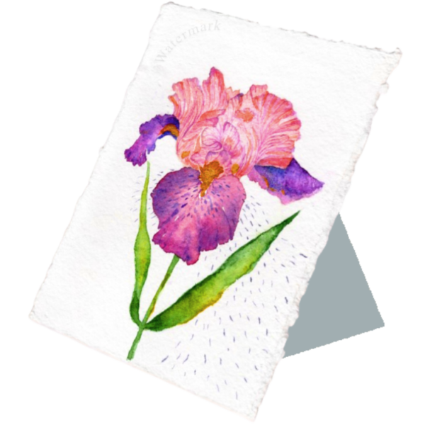 Paper Bloom#10 Hand Painted Original Watercolour on 6"x8" Cotton Paper