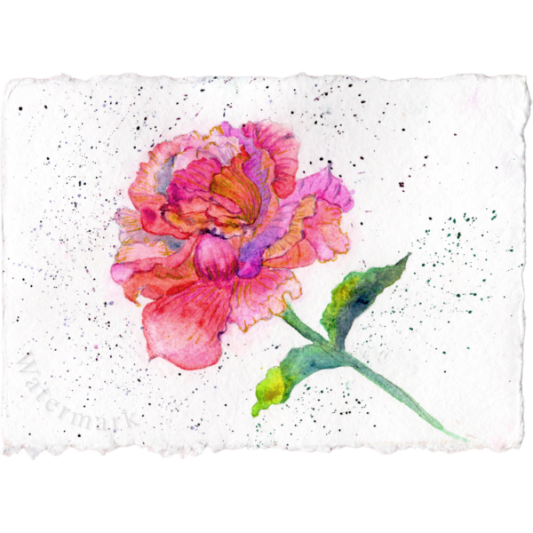 Paper Bloom#12 Hand Painted Original Watercolour on 6"x8" Cotton Paper