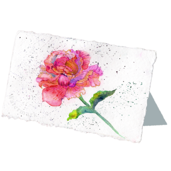 Paper Bloom#12 Hand Painted Original Watercolour on 6"x8" Cotton Paper