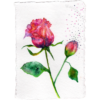 Paper Bloom #1 Hand Painted Original Watercolour on 6"x8" Cotton Paper