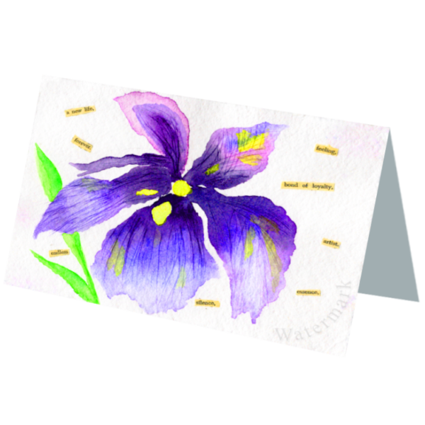 Paper Bloom #4 Folded 4"x6" Printed Card