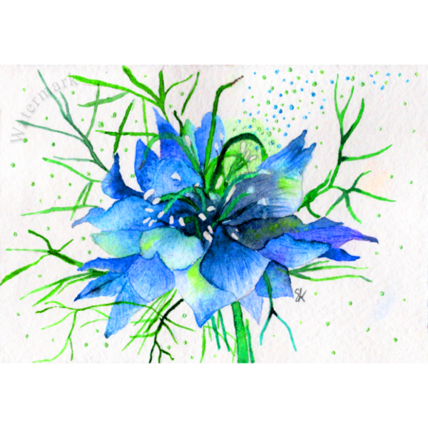 Paper Bloom #5 High Quality Print on 6"x8" Matt Coated Digital Paper