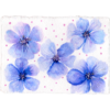 Paper Bloom #8