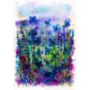 Paper Meadow #3 High Quality Print on 6"x8" Matt Coated Digital Paper
