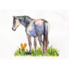 Pretty Pony #2
