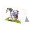 Pretty Pony #2