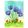 Tulips #3