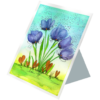 Tulips #3