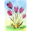 Tulips #4