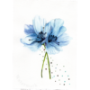 Painted Gift Card