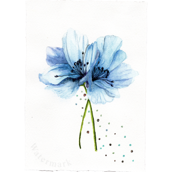 Painted Gift Card