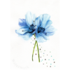 Painted Gift Card