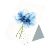 Painted Gift Card