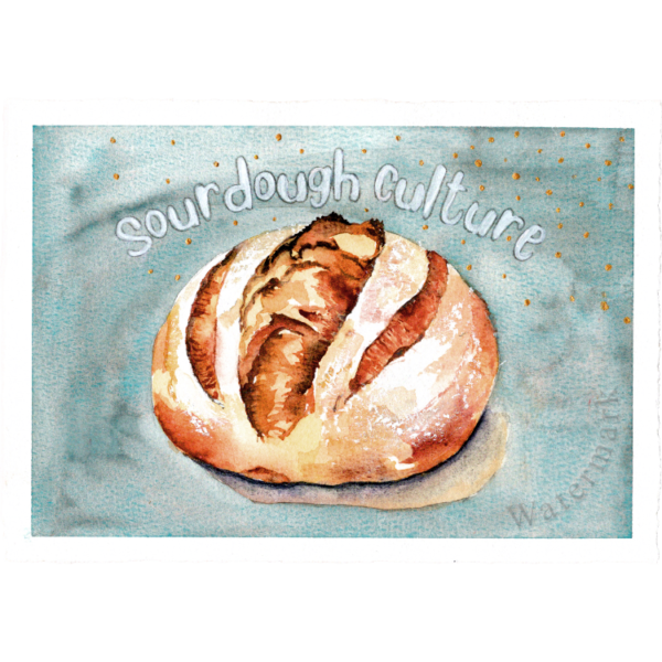 Sourdough Culture #1 High Quality Print on 6"x8" Deckled Edge Watercolour Paper