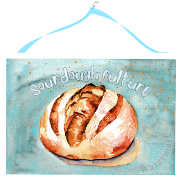 Sourdough Culture #1 High Quality Print on 6"x8" Matt Coated Digital Paper