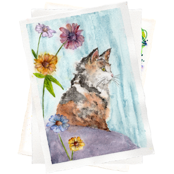 Cats greeting cards