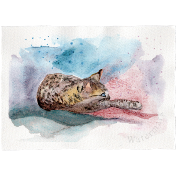 Cats #2 Hand Painted Original Watercolour on 6"x8" Cotton Paper