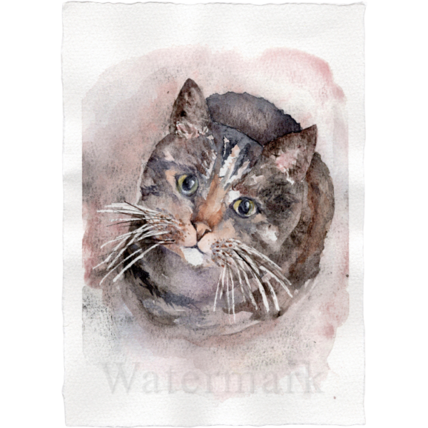 Cats #4 Hand Painted Original Watercolour on 6"x8" Cotton Paper