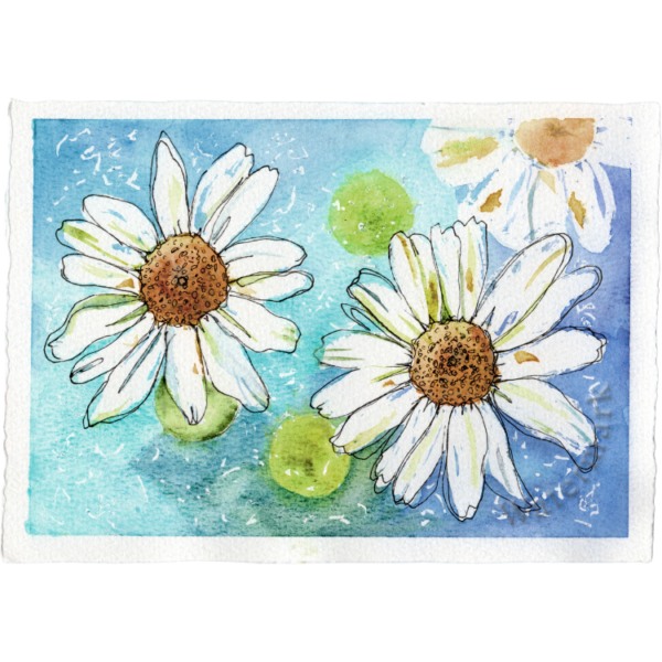 Flowers & Doodles #6 Hand Painted Original Watercolour on 6"x8" Cotton Paper