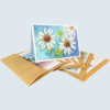 Floral Wonderland Selection Pack of 6