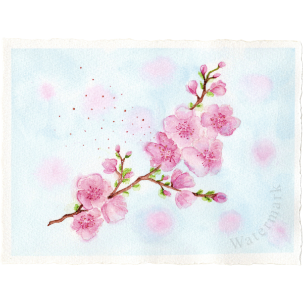 Spring#11 High Quality Print on 6"x8" Matt Coated Digital Paper