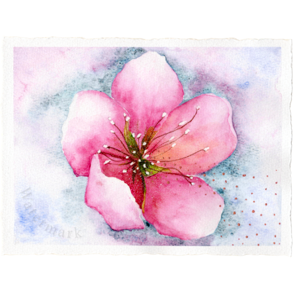 Spring#12 High Quality Print on 6"x8" Matt Coated Digital Paper