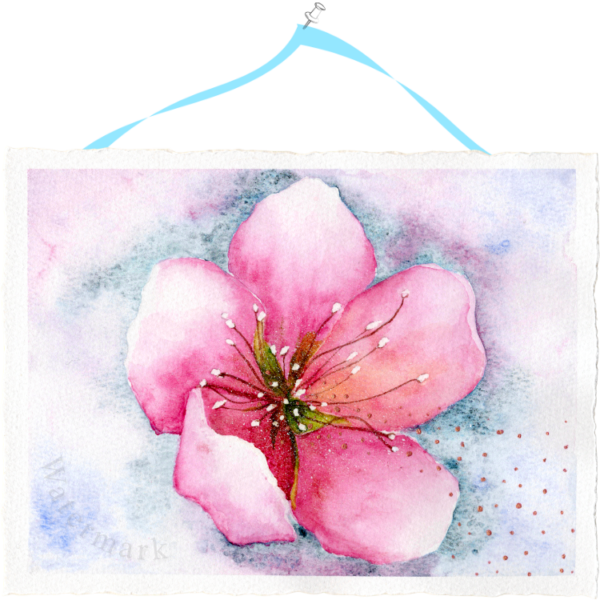 Spring#12 High Quality Print on 6"x8" Matt Coated Digital Paper