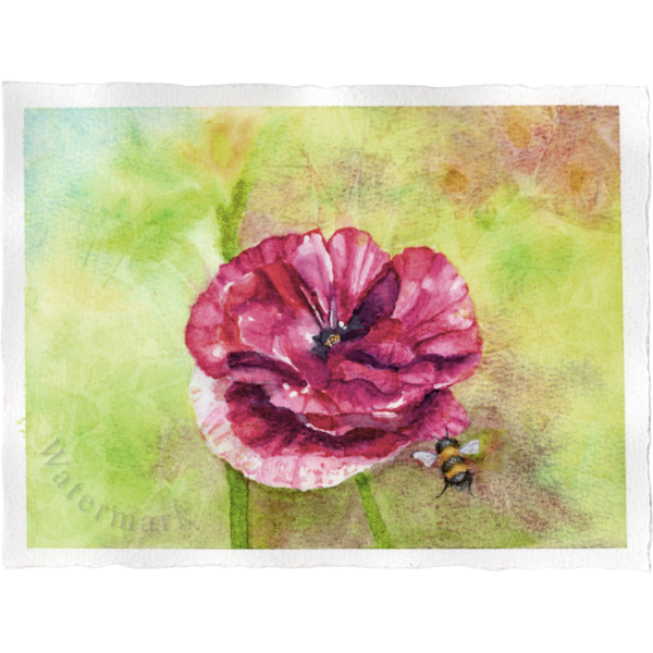 Spring #9 High Quality Print on 6"x8" Matt Coated Digital Paper